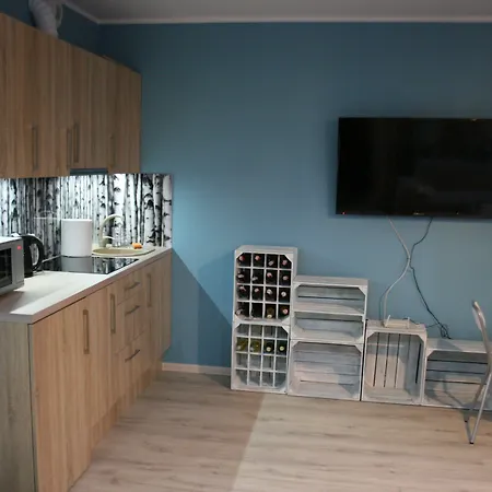 Garbary 公寓 波兹南