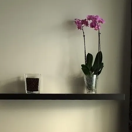 Lägenhet Garbary Poznań